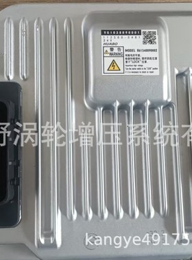 ECU电脑板 VG1038090001 112500-0481 MODEL R61540090002