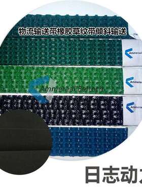 PVCEM8/20+A42ASG5.0MMPVC输送带2M0458绿色