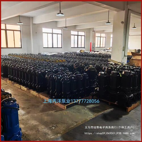 WQ潜污泵QW潜水排污泵厂家浙江潜污泵厂家耦合无堵塞潜污泵其他