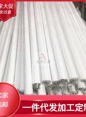 水滤pp折叠式滤元HGPPB-1-70-P-X-AERO-C08