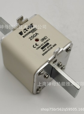 BUSSMANN/巴斯曼熔断器250NHG3B-690