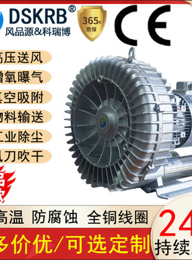 DSKRB气环式真空泵830-380V 4.3KW污水曝气真空吸附气环漩涡式