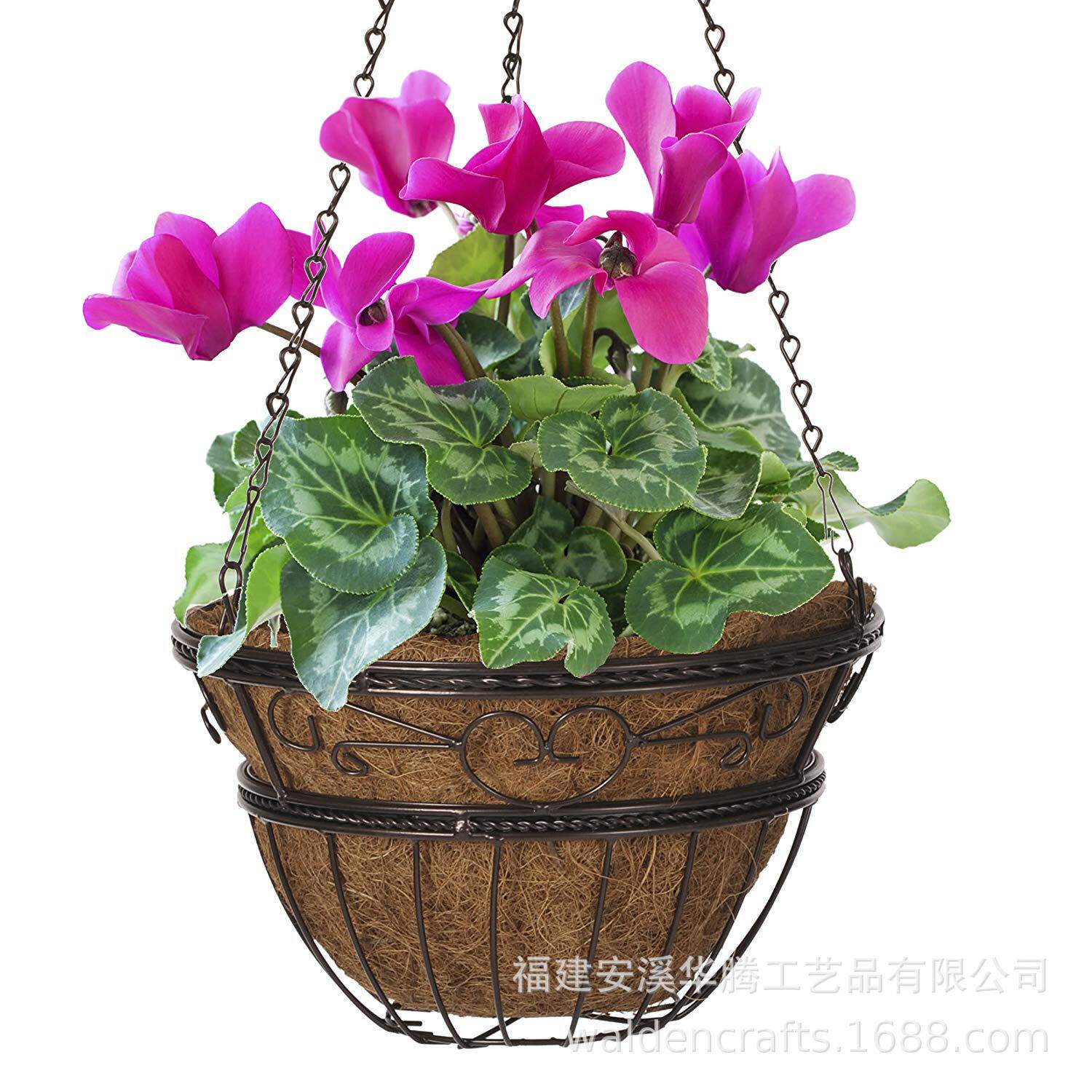 欧式金属卷轴编织挂篮 椰棕吊篮/户外、室内庭院铁艺植物吊盆
