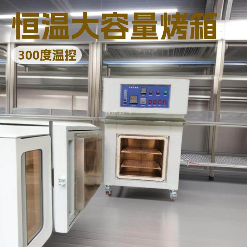 恒温大型烤箱热风循环干燥箱智能高温烤箱现货烘箱