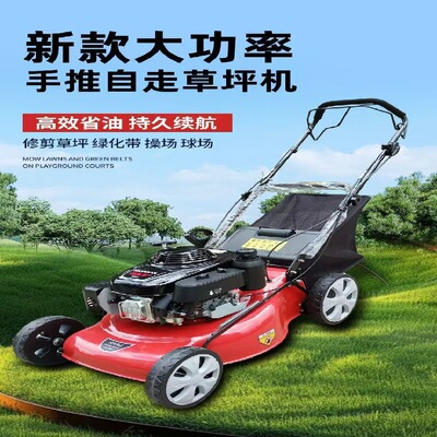 公园物业杂草清理机 自走式汽油割灌机 带集草袋草坪修剪机