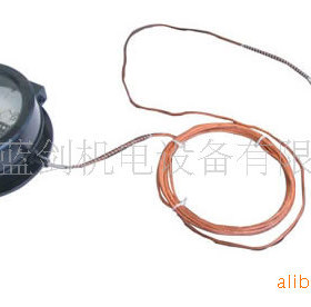 WTZ、WTQ 电接点压力式指示温度计