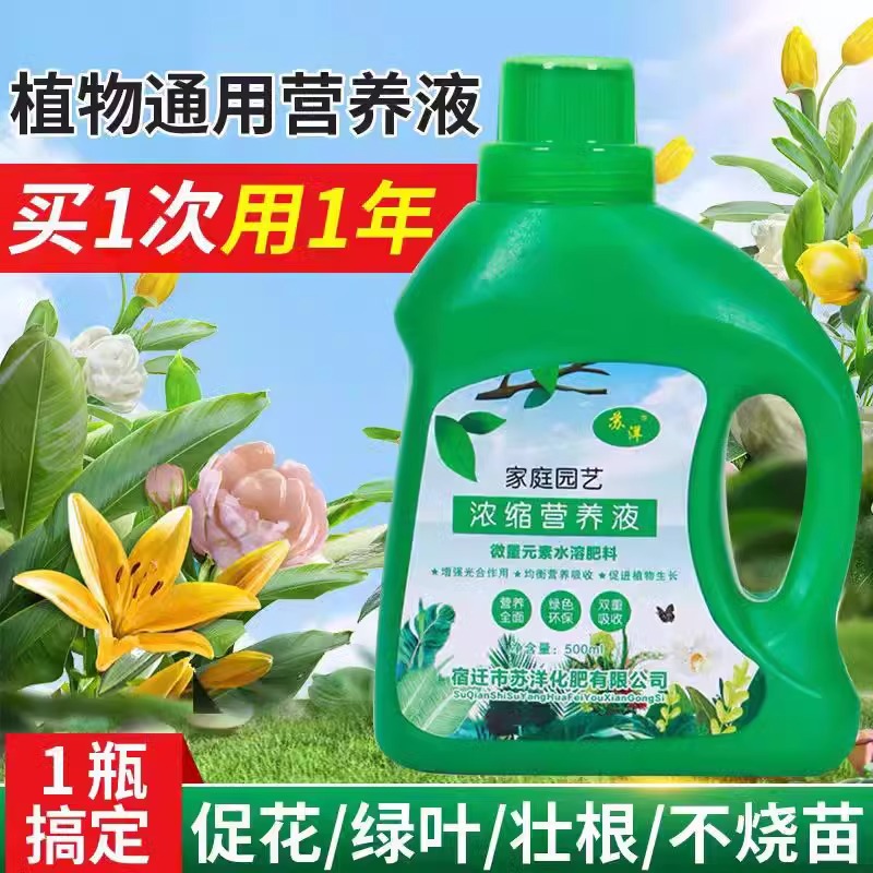 全植物花卉营养液盆栽水
