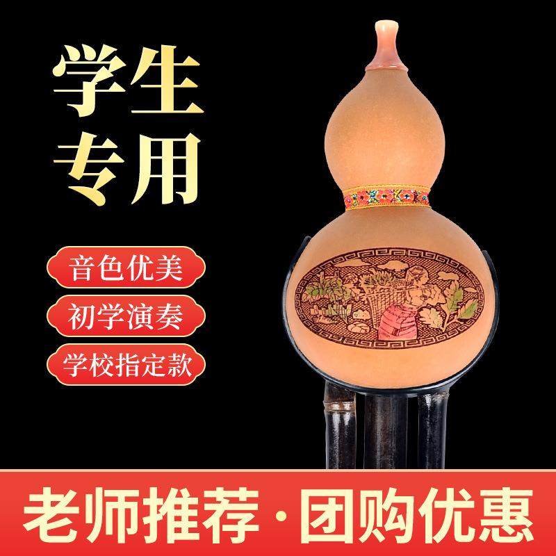 葫芦丝乐器初学者C调降B调F调防摔儿童小学生专用七孔紫竹