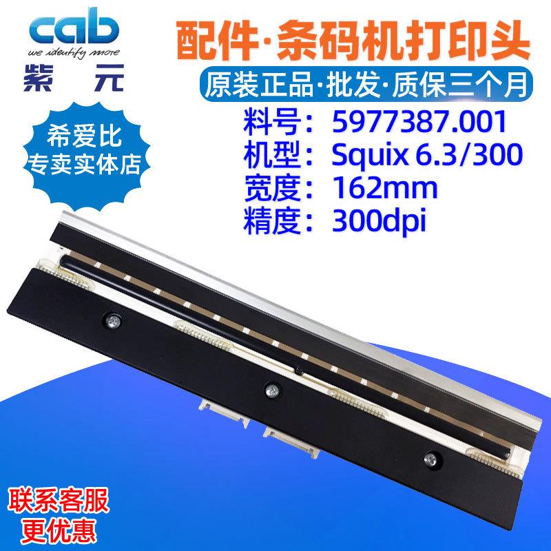 CAB铠博Squix6.3300dpi打印头59773875977311条码标签热敏唛头