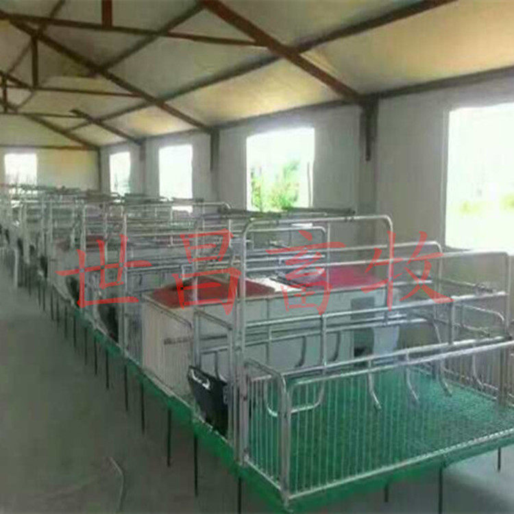 世昌供应母猪产床双体猪床图片复合板产保一体产床养殖设备