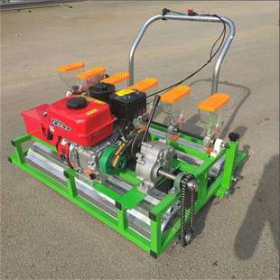 十行汽油蔬菜精播机香菜免间苗点播机大棚冬季育苗播种机