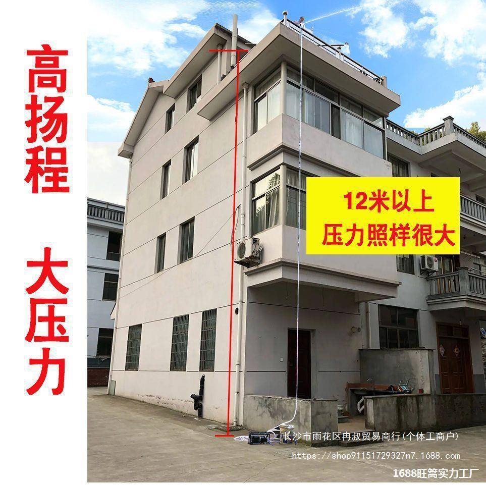 水泵家用抽水浇菜自吸电动充电式12v24v直流农用大功率抽水机