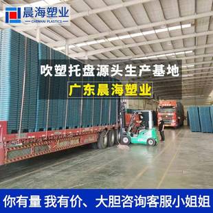 双面吹塑塑料托盘重仓板储物流叉车板防厂潮周BST转大卡型塑胶托