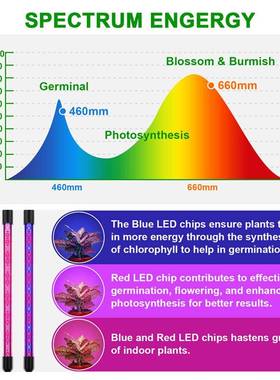 LEH-201211D式植物生长灯20W落地折叠脚架带遥控全光谱三四管植物
