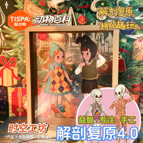 时空工坊解剖复原4.0贴纸拼图3D可爱摆件可视结构益智玩具儿童