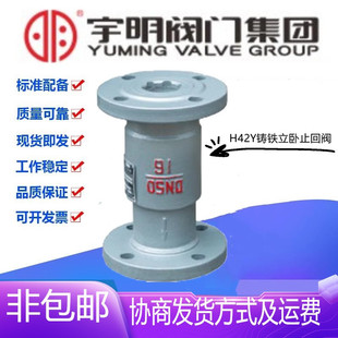 宇明H42Y 100蒸汽导热油单向阀 16Q铸铁法兰立卧两用止回阀DN25