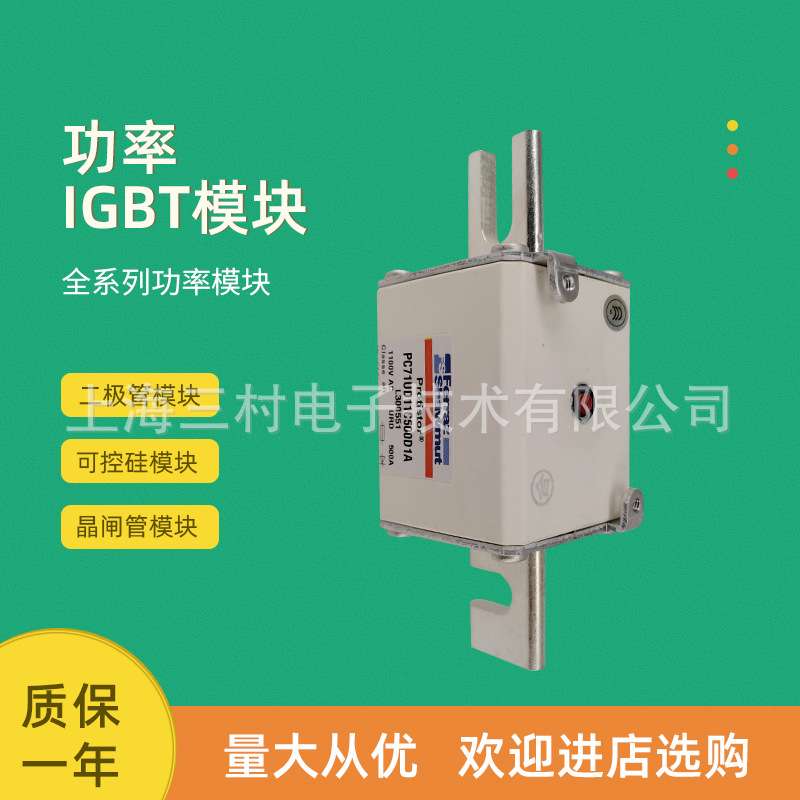 全新熔断器保险A110UD71LLI630 P300669 PC71UD13C200PA G301835