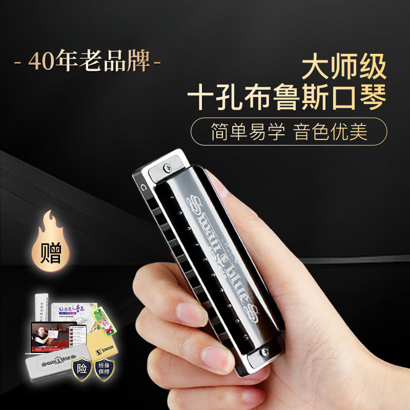 布鲁斯口琴10孔调儿童初学者入门专业十孔蓝调无