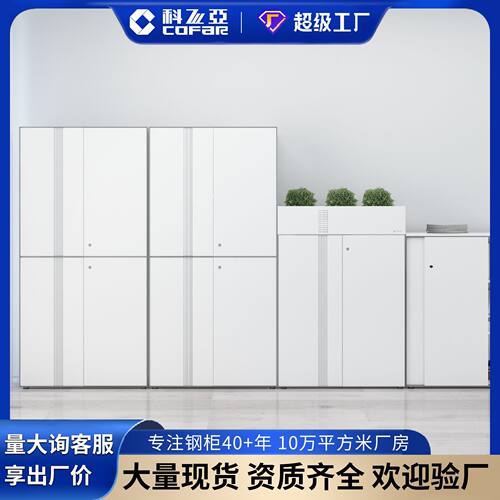 科飞亚文件柜矮柜花坛柜微澜系列办公室凭证资料档案柜储物柜工厂