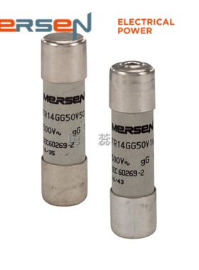 保险丝熔断器     FR22GC69V20T   FR22GC69V25T   FR22GC69V32T