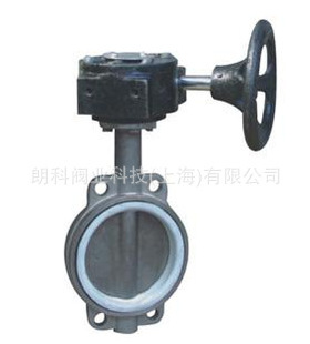 不锈钢涡轮四氟套蝶阀D371F-16P DN100