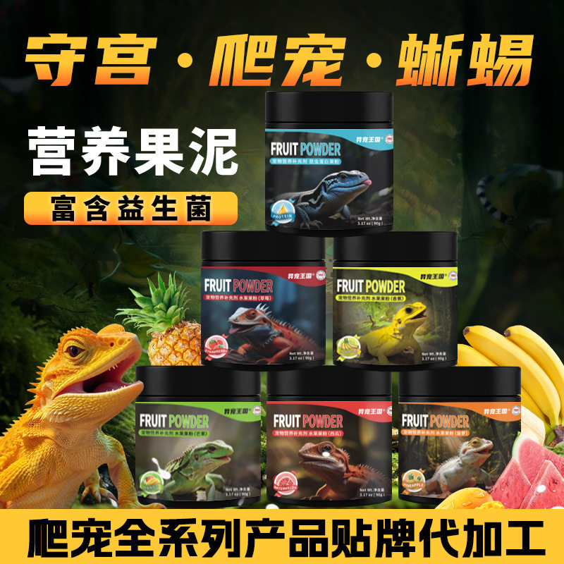 蜥蜴爬宠果粉守宫昆虫泥丽纹龙蜥果泥粉营养果粉鬃狮蓝舌食物代发