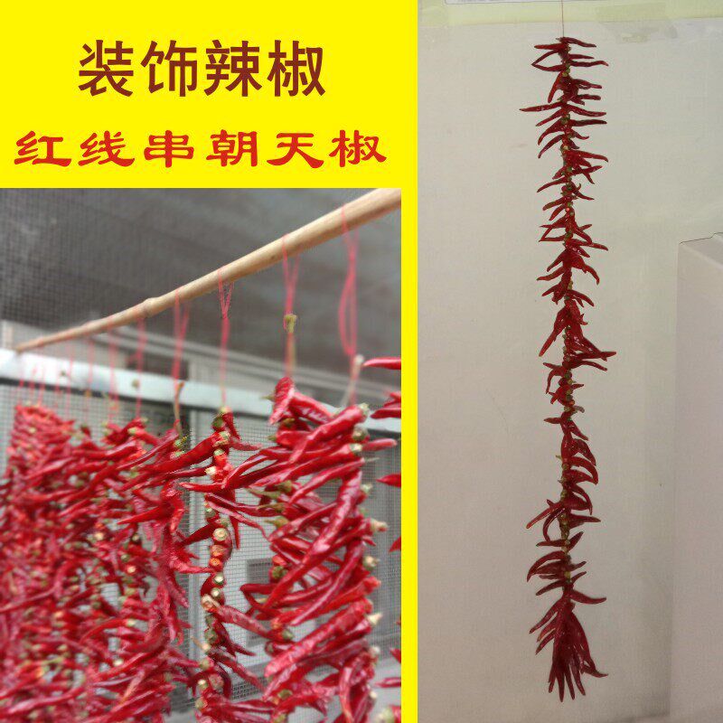 速发真辣椒串调厨房挂件可食用辣椒串二荆条装饰挂件辣子串串