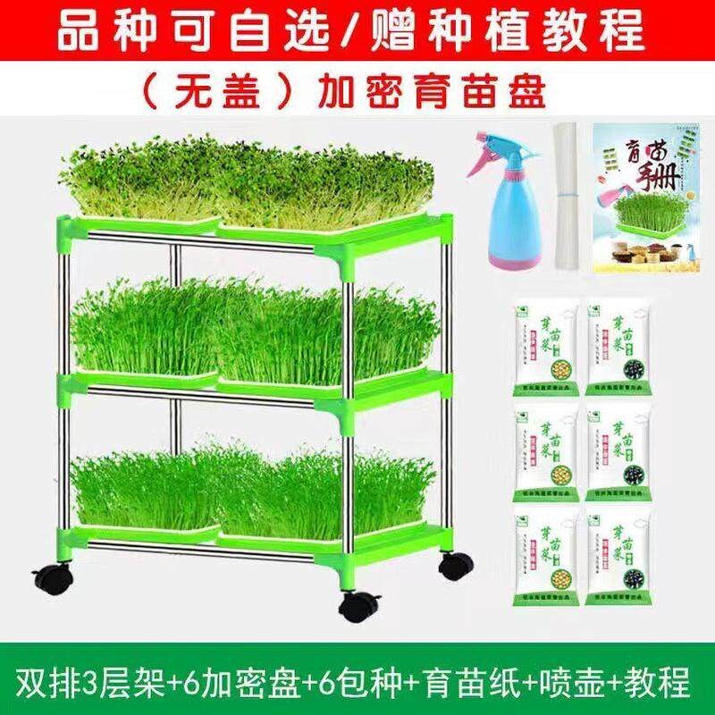 速发芽苗菜育苗托盘盆发芽豆芽豆苗种植无土栽培设备水培蔬菜芽菜
