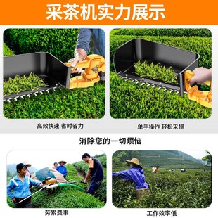 速发嘉普沃茶电采锂机新款充无机锂采茶叶小型修剪采茶神器绿篱刷