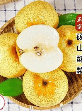 正宗安徽砀山酥梨新鲜水果现摘原产地发货应季特产烤梨整箱包邮10