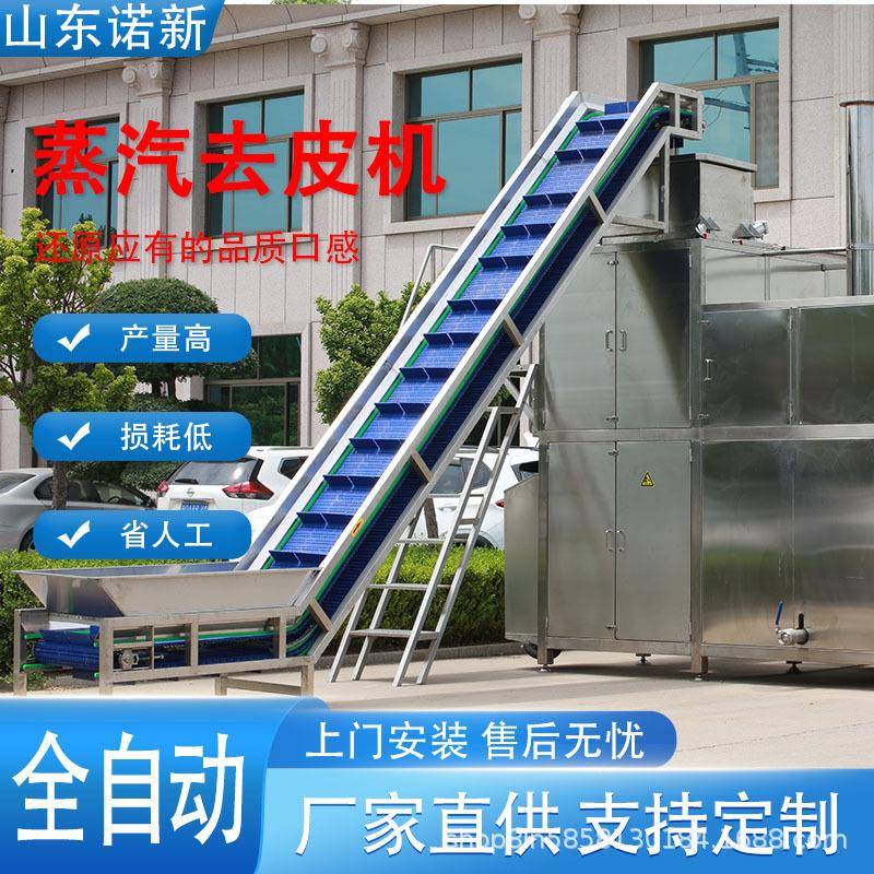 葡萄/土豆/红薯/胡萝卜/西红柿全自动蒸汽去皮机脱皮机纯物理去