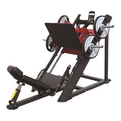 倒蹬机训练器Machine à étrier inversé Trainer