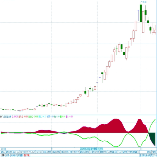 飞云资金决策 副图指标源文件 红多绿空 通达信指标公式代码 炒股