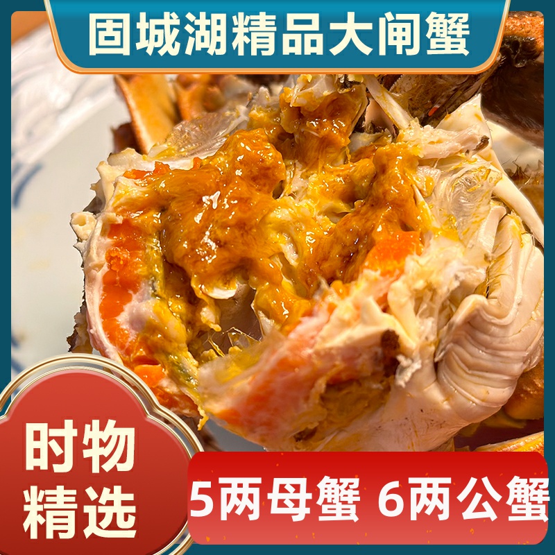【活蟹】鲜活现货南京固城湖生态养殖大闸蟹5两母6两公8只礼盒装