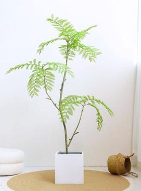 仿真蓝中花楹假植09960物盆栽室式件内摆仿真树客厅摆件轻奢仿真