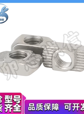 AHC21-206/308/408/4010-M6 欧标T型螺母 M3 M4 M5 M8