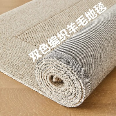 地毯羊毛2025新款免洗可擦客厅地垫高级防水防污卧室床边沙发地垫