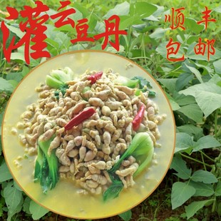 连云港特产灌云豆丹肉大豆虫豆天蛾肉新鲜速冻高蛋白食用昆虫食材