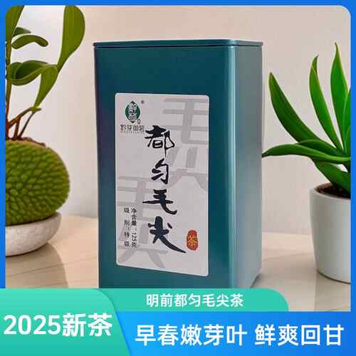 黔芽御茗2025新茶毛尖茶特级浓香
