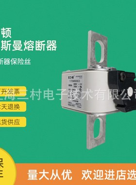 全新原装快速熔断器保险丝170M6663 170M6664 170M6665 170M6666