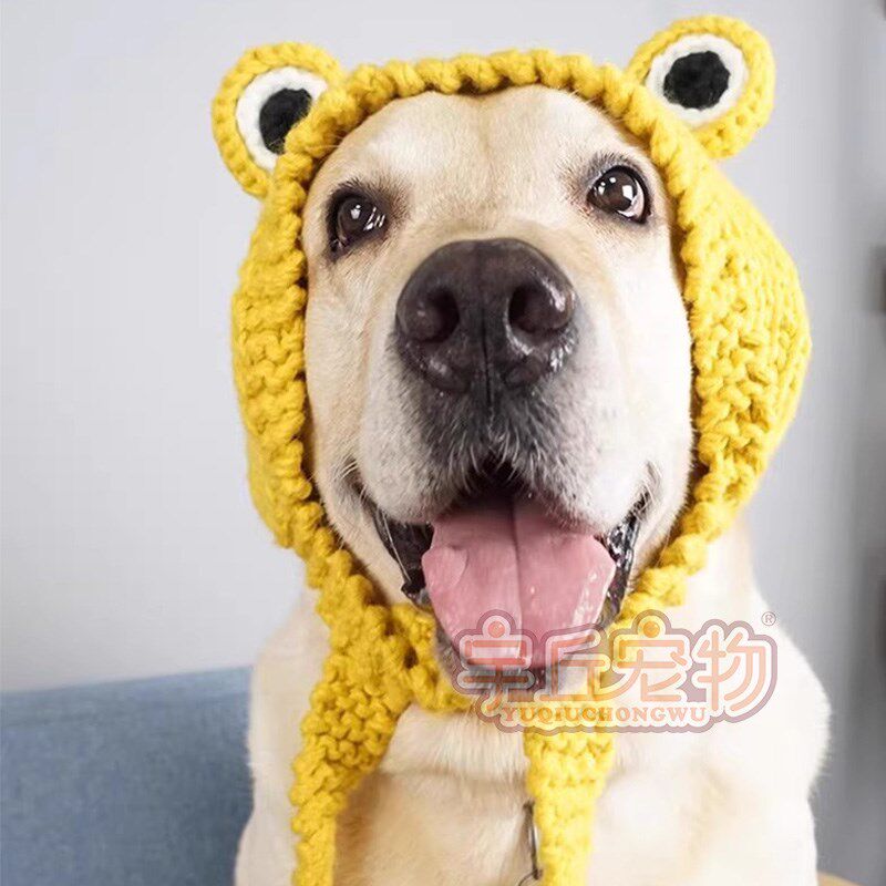 狗狗帽子冬天大型犬秋冬季戴的保暖搞笑头套大狗边牧金毛拉布拉多