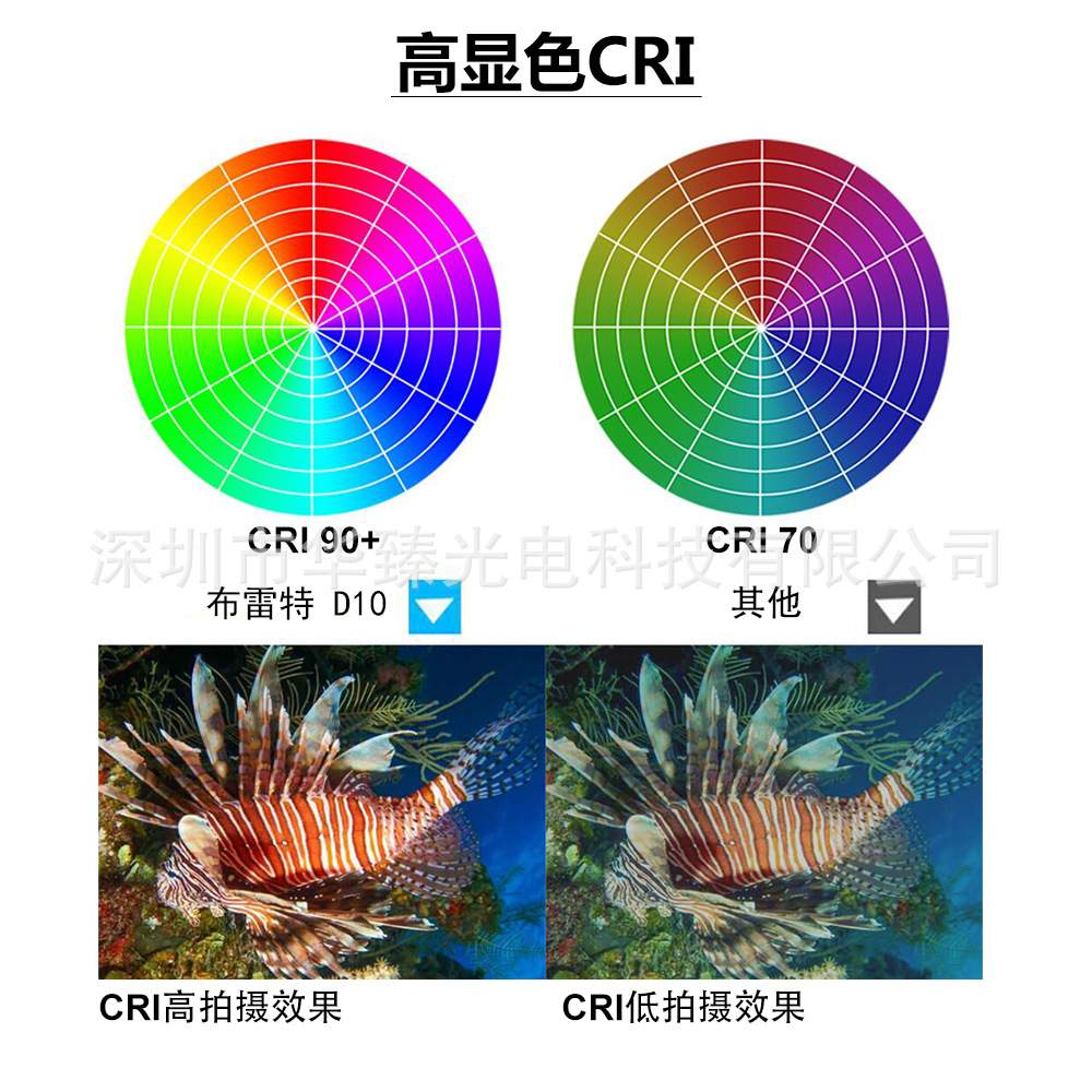 23年新款潜水摄影灯C0B白+红蓝光源超亮LED补光灯18000LM内置电池