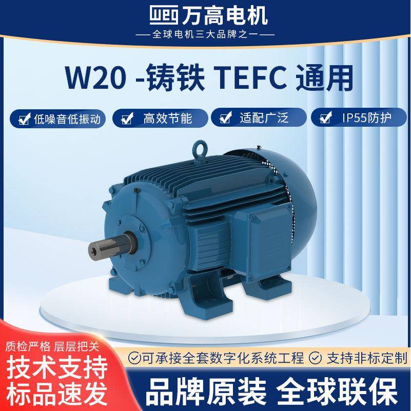 巴西万高W20-铸铁TEFC通用三相中低压异步电机立式卧式直流电机