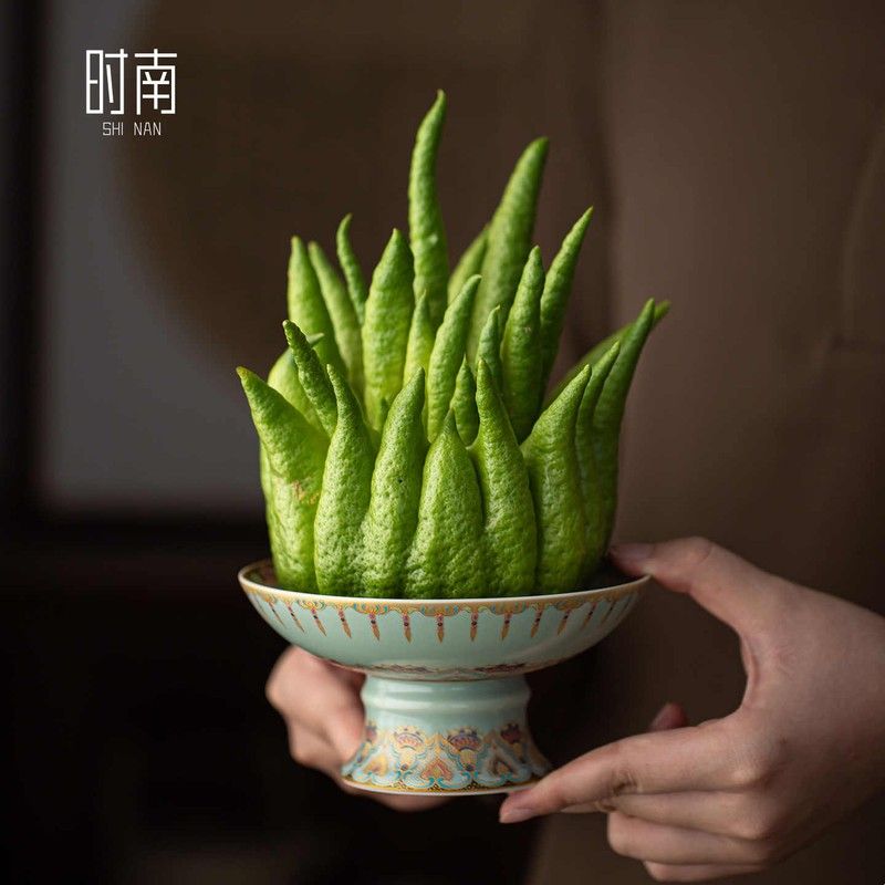 中式莲花佛手柑托盘器皿观赏清供摆放佛手瓜专用盘陶瓷高脚果盘