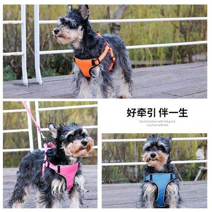 宠物胸背带泰迪雪纳瑞狗狗牵引绳中小型犬遛狗绳背心式狗链子用品
