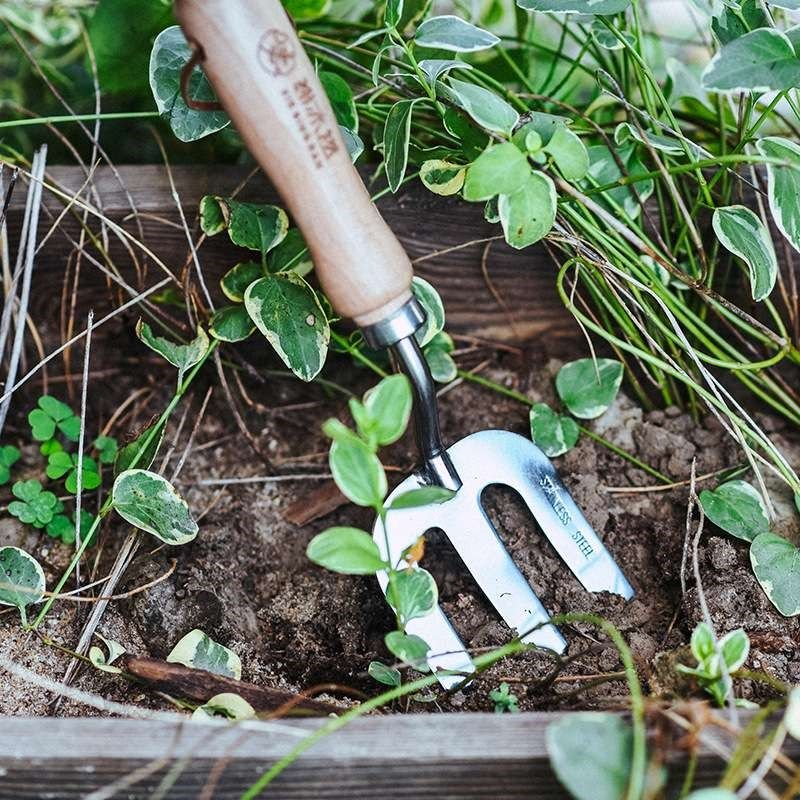 谢冰燃园艺工具家用户外小铁铲多肉种植不锈钢铲子套装挖土盆栽