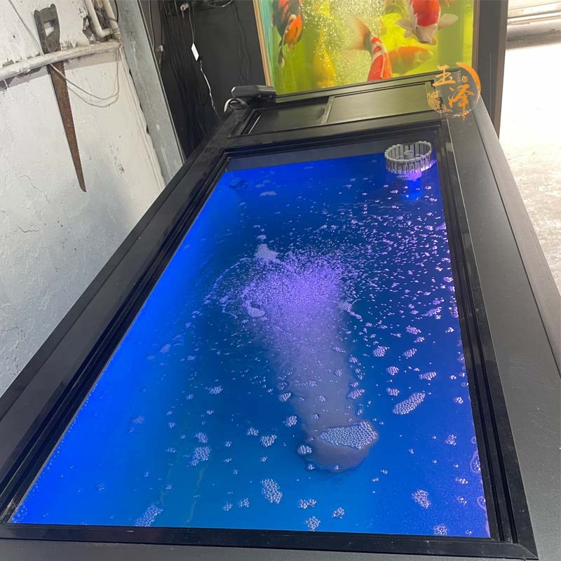 2025新款锦鲤地缸轻体地缸一个观赏面中央底排加侧滤鱼缸家用客厅