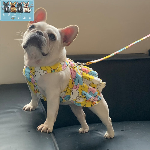 中小型犬宠物狗狗裙子法斗巴哥斗牛犬比熊博美衣服春夏薄款公主裙