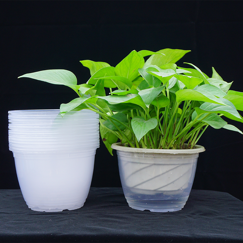 180绿萝专用储水花盆懒人自动吸水盆透明塑料水培免浇水外盆