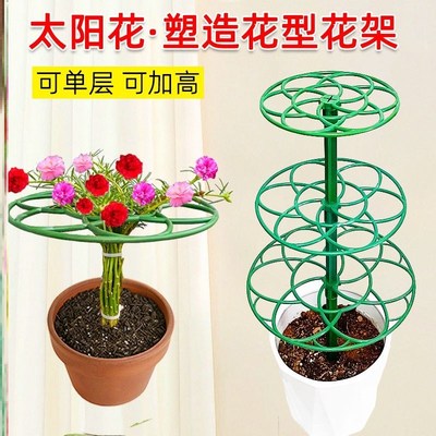 向日葵棒棒糖造型支架叶仙人掌蟹爪兰嫁接用单层多层支撑爬藤花架